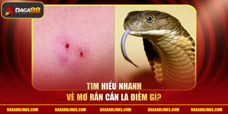 Tìm hiểu nhanh về mơ rắn cắn là điềm gì?