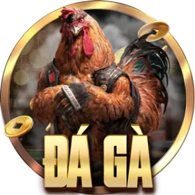 đá gà daga88